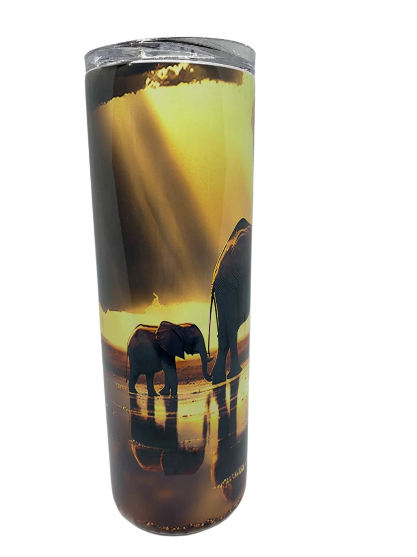 A. Elephants