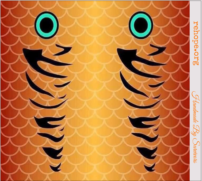 O. Fishing Lure - Orange