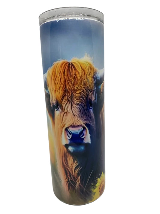 A. Highland Cow