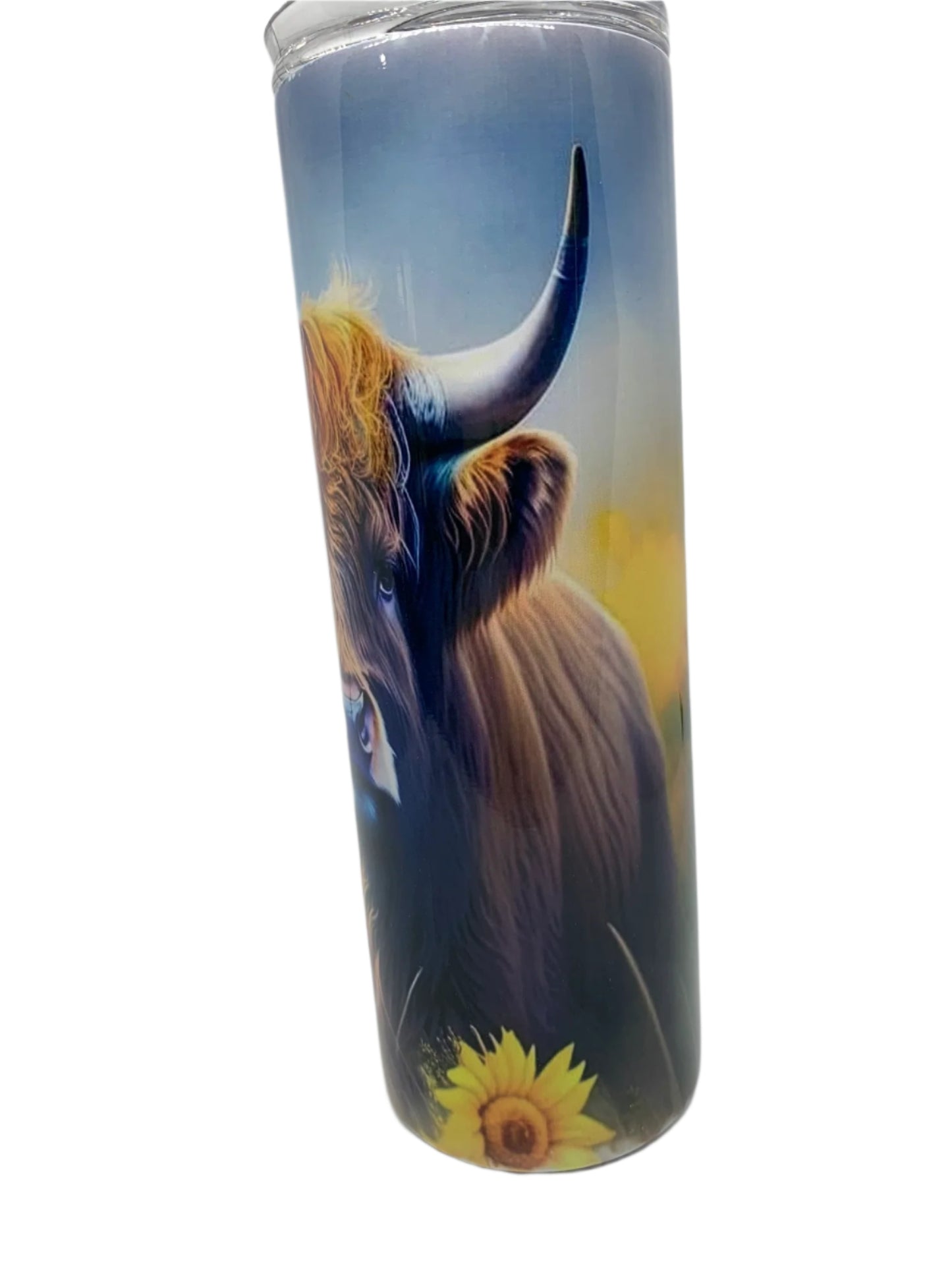 A. Highland Cow