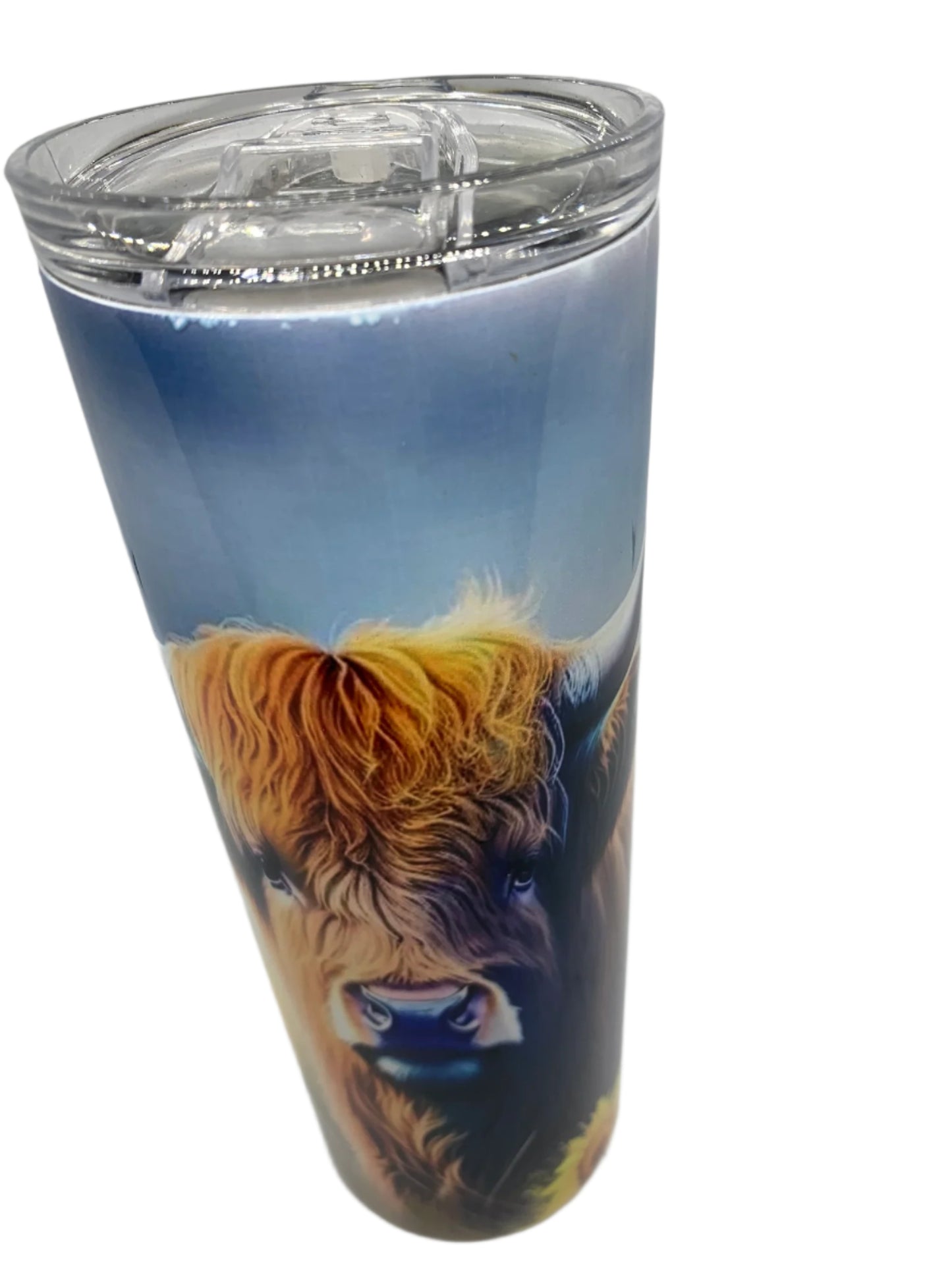 A. Highland Cow